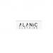 Are You Interested in Purchasing Eye-Catching Bulk Socks? Alanic Clothing Has an Amazing Selection!